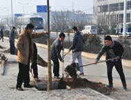 市城投集团公司积极组织参加全市义务植树活动