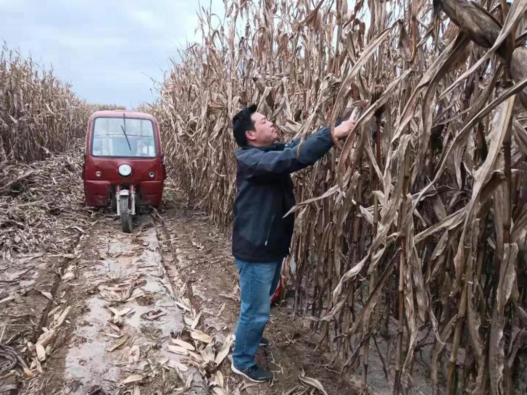 微信图片_20211027101845.jpg 微信图片_20211027101845.jpg