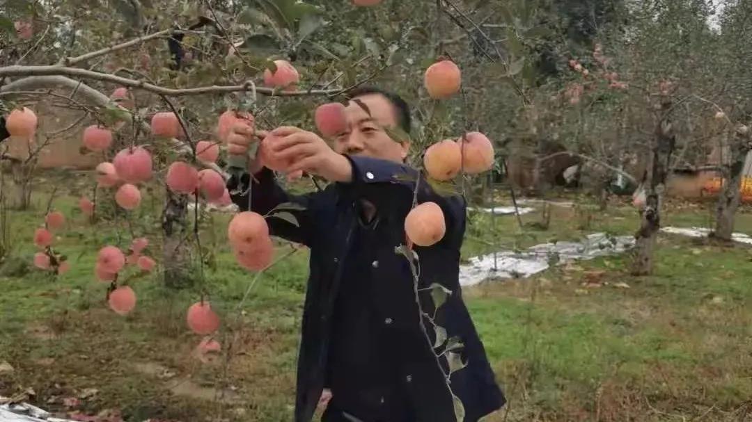 微信图片_20211027101848.jpg 微信图片_20211027101848.jpg