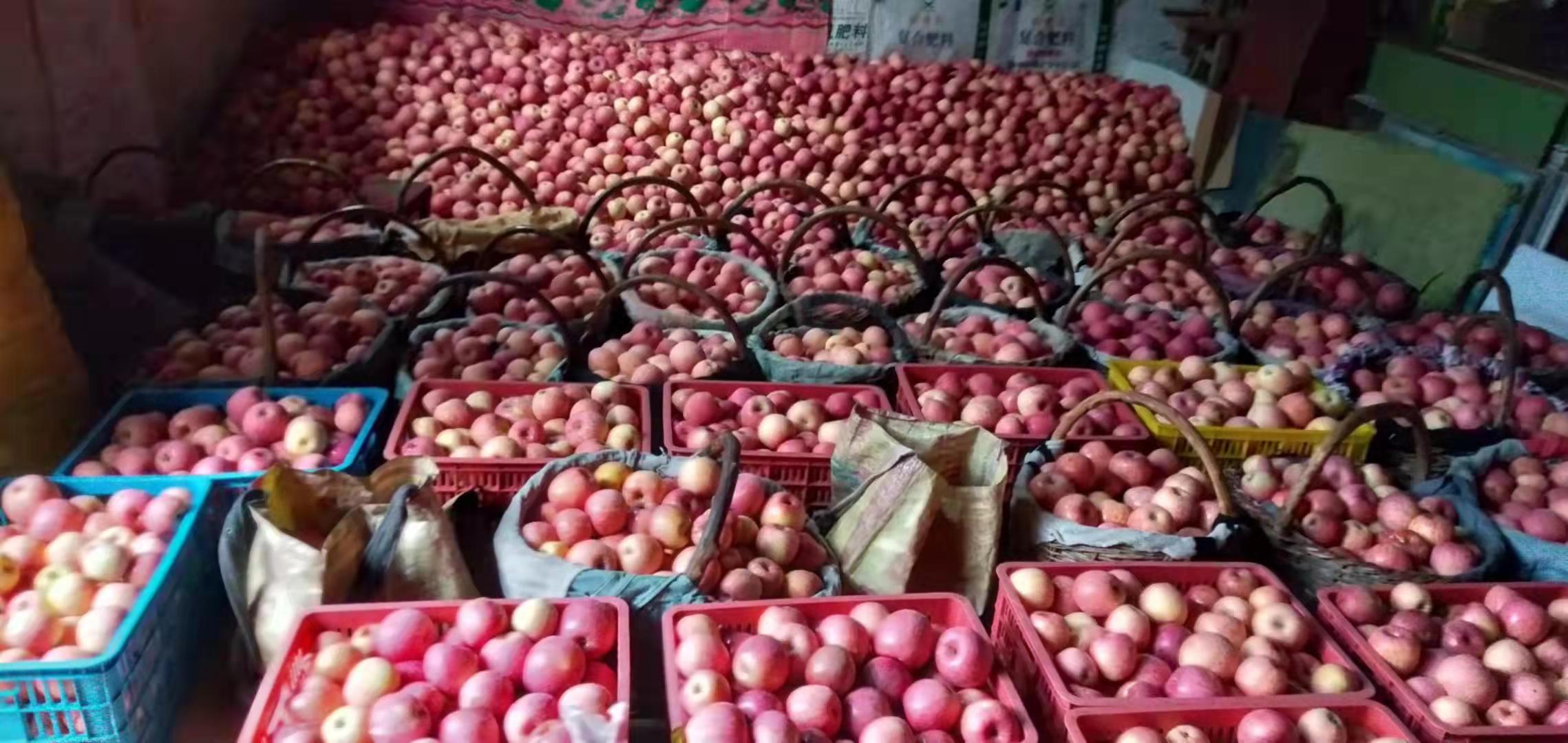 微信图片_20211108144243.jpg 微信图片_20211108144243.jpg